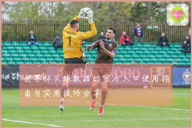 世界杯买球数据的官方入口使用指南与实用技巧分享